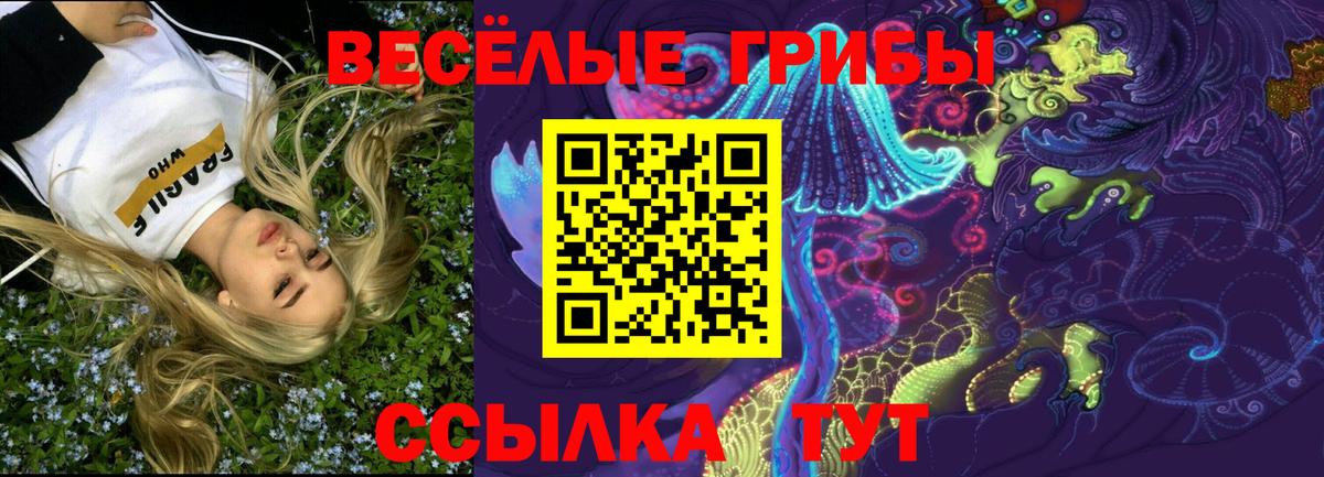Гусь-Хрустальный  Псилоцибиновые грибы мухоморы  Вход с VPN 